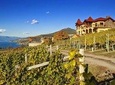 Vernon Wine Tasting Experience to Lake Country