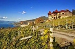Vernon Wine Tasting Experience to Lake Country
