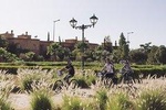 Oasis Tour On Bicycle