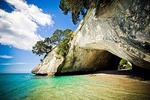 Coromandel Wanderer Small Group Tour from Auckland