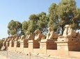 Tour to Luxor from Hurghada