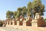 Tour to Luxor from Hurghada
