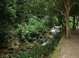 Botanical Garden and Tijuca Rainforest Jeep Tour