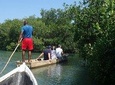 Cartagena canoe mangroves