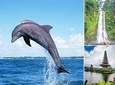 Bali Dolphin Tour at Lovina, Gitgit Waterfall and Ulundanu Beratan
