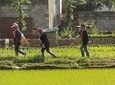 Two-day Dali & Lijiang Tour