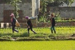 Two-day Dali & Lijiang Tour