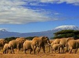 3 days, 2 night Amboseli safari
