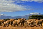 3 days, 2 night Amboseli safari