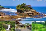 Full-day Tour : Ubud Highlights and Tanah Lot Temple Tour All-Inclusive