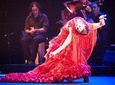Seville Pure Flamenco Tour