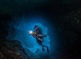 Night Dive