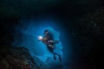 Night Dive