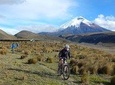 Private - Cotopaxi Biking Adventure Day Tour