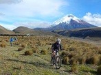 Private - Cotopaxi Biking Adventure Day Tour