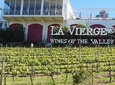 Hermanus Whale Coast Wine Tour