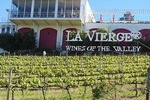 Hermanus Whale Coast Wine Tour