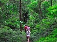 Sinharaja Rain Forest Trekking Trip From Bentota & Surroundings - All Inclusive