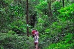 Sinharaja Rain Forest Trekking Trip From Bentota & Surroundings - All Inclusive