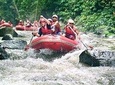 Bali Ayung River Rafting and Ubud Monkey Forest Tour
