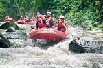 Bali Ayung River Rafting and Ubud Monkey Forest Tour