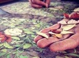Inlaid wood Factory Tour