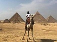guided trip Giza pyramid ,sphinx , lunch and camel ride
