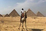 guided trip Giza pyramid ,sphinx , lunch and camel ride
