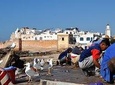Essaouira Mogador Journey From Marrakech
