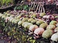 Ubud,Skulls & Bones Trunyan Village and Lake side Hot spring swimming pool Tour