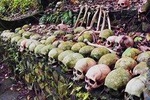 Ubud,Skulls & Bones Trunyan Village and Lake side Hot spring swimming pool Tour