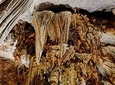 7-Day Discovery of Central Vietnam