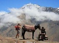 Berber Trails and Atlas Mountains Day Trip including Lunch from Marrakech