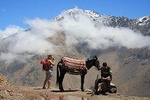 Berber Trails and Atlas Mountains Day Trip including Lunch from Marrakech