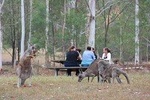 Blue Mountains day tour includes our popular breakfast with the wild Kangaroos 