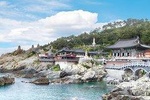 Busan Small Group City Tour (Max. 7)