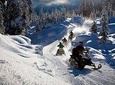 Snowmobile & Animals Day Tour