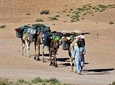 4 Days Hiking To Desert