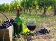 The Nemea wine roads with breathtaking Nafplion private tour