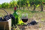 The Nemea wine roads with breathtaking Nafplion private tour