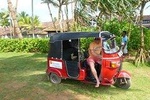 Village Tour In Bentota by Tuk-Tuk from Bentota
