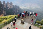 Private Guided Tour : Blue Mountains and amazing lookout experience from Sydney