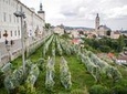 1 day Unesco private wine experience in Kutna Hora