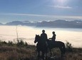2 Hour Horse Trail