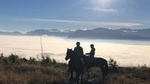 2 Hour Horse Trail