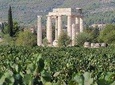 Nemea wine roads, The most famous wine tour in Greece