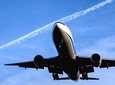 Shared Arrival Transfer : Haneda Airport to Central Tokyo City