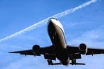 Shared Arrival Transfer : Haneda Airport to Central Tokyo City