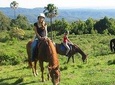 Horse Riding in the Forest and the Beach From Kusadasi