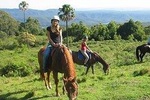 Horse Riding in the Forest and the Beach From Kusadasi